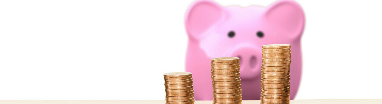 Budget FAQ