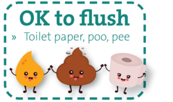 Ok to flush poo, pee, and toilet paper