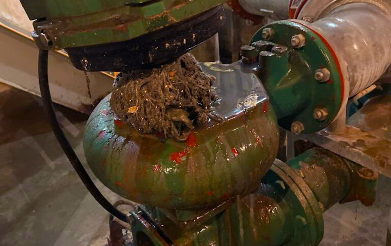 Sewer system clog made of unflushables