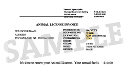 Animal License Invoice